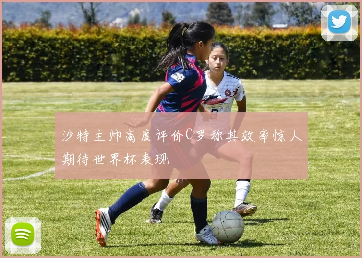 沙特主帅高度评价C罗称其效率惊人期待世界杯表现