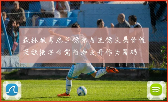 森林狼考虑兰德尔与里德交易价值若欲换字母需附加麦丹作为筹码