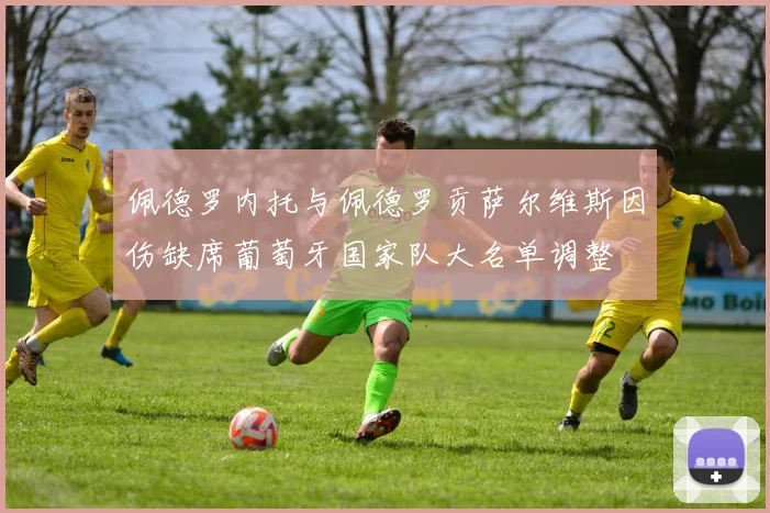 佩德罗内托与佩德罗贡萨尔维斯因伤缺席葡萄牙国家队大名单调整