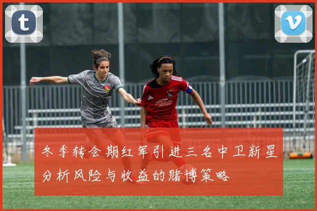 冬季转会期红军引进三名中卫新星分析风险与收益的赌博策略