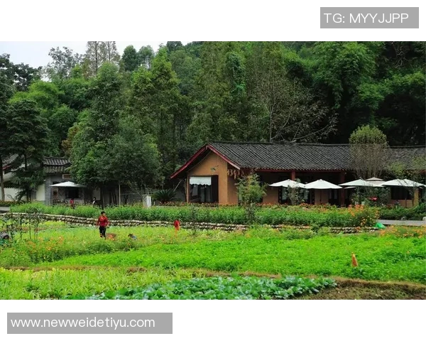 杨舒予分享中秋快乐照片展现独特稀缺库存的乱七八糟魅力